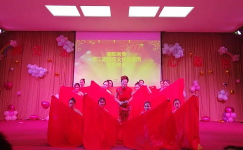 新交流 心融合 南陽醫(yī)專國際文化交流周文藝晚會精彩回顧